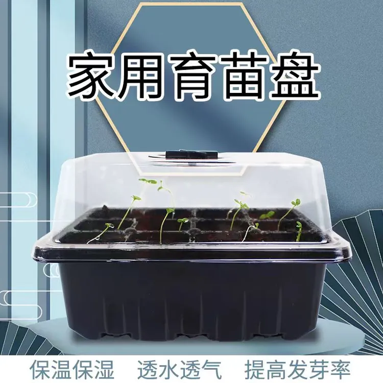 多肉叶插育苗盆三件套培养播种盒保湿温育苗盘12孔塑料育苗盒盖