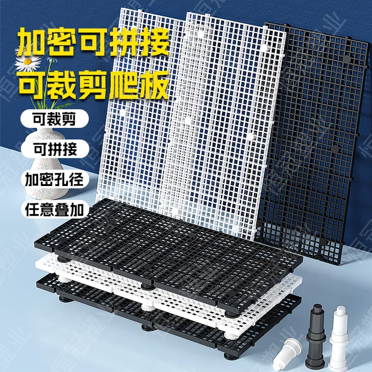 鱼缸必备用品加密网格板隔离板防跳鱼缸垫板沉淀板底滤板养鱼用品