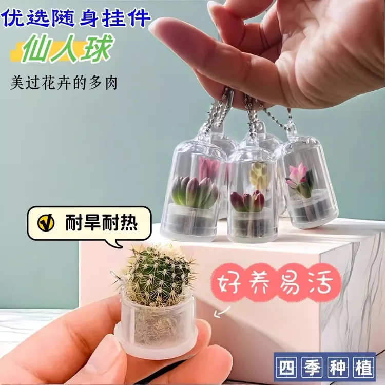 迷你随身多肉盆栽挂件桌面微景观生态瓶学生创意小盆栽挂件小礼品