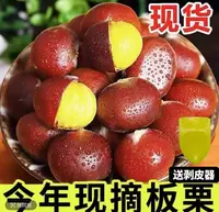 【买3斤送2斤】新鲜现摘高山板栗清脆甘甜鲜香生栗子难剥皮送栗爪