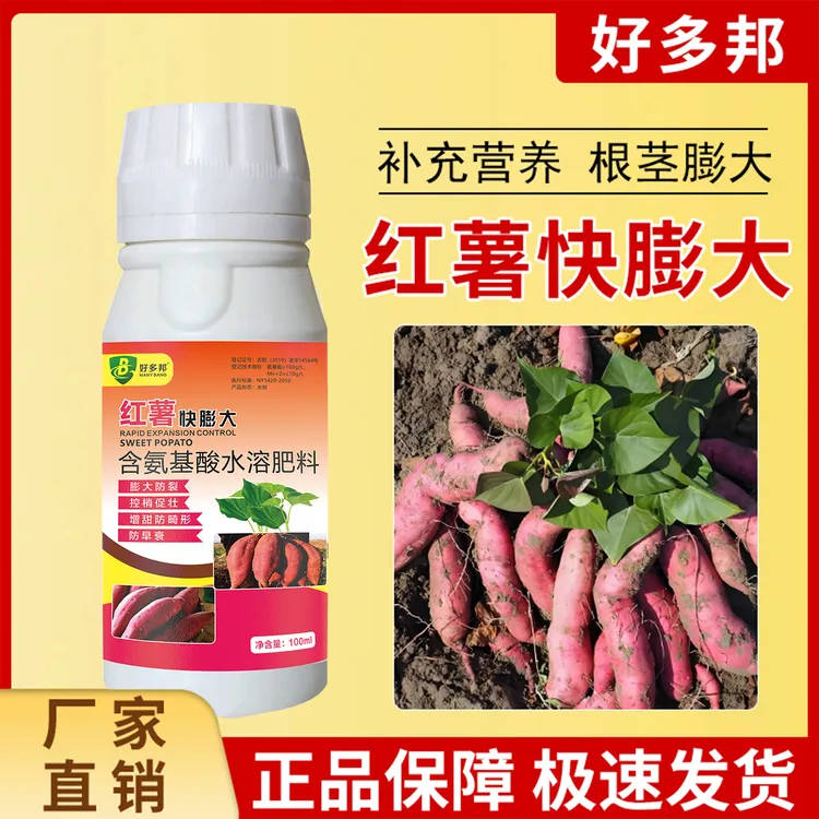 红薯快膨大红薯补充营养个头均匀膨大表面光滑无裂果无空心肥料