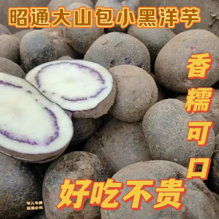 昭通大山包小黑洋芋，软弱香甜，好吃乌洋芋不贵，注：新疆西藏不发货