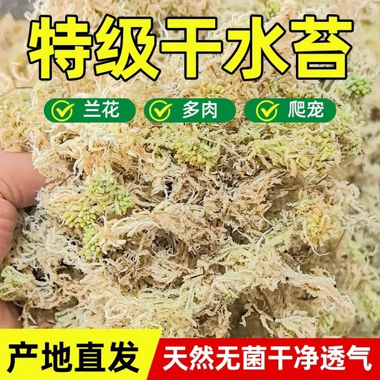 水苔蝴蝶兰专用兰花营养束然水苔营养土精致批发特级水苔家用扦插