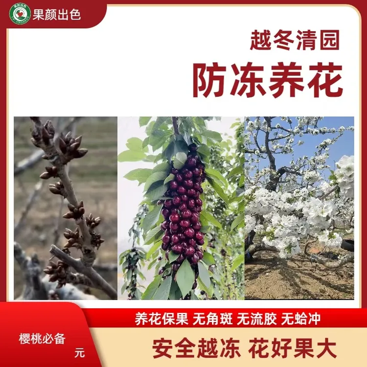 林静  越冬清园 花好果大 防冻营养全  开花齐
