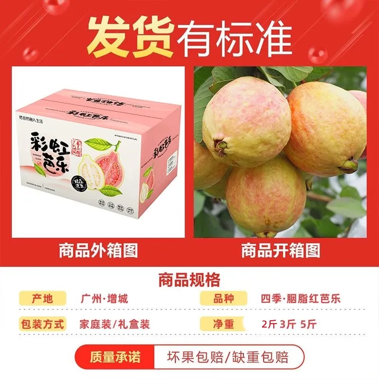 【京东礼盒装】广州增城胭脂红番石榴软糯香甜树上熟软芭乐2-5斤