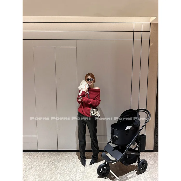 11月15日10:00新品 FORNI 绒绒小浣熊 浣熊绒拉毛船领针织毛衣