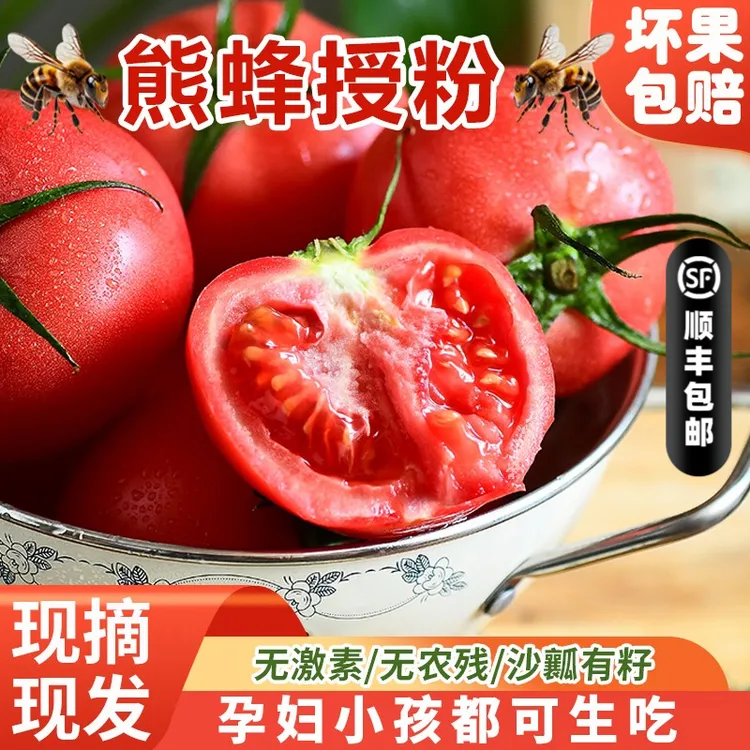蜂果家老味道西红柿自然熟沙瓤西红柿可生吃酸甜无人工激素农残