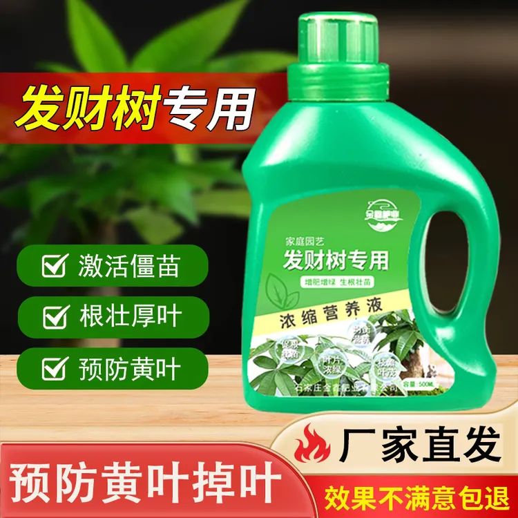 发财树专用营养液花肥料治烂根增肥掉叶室内水培花卉绿植花肥通用