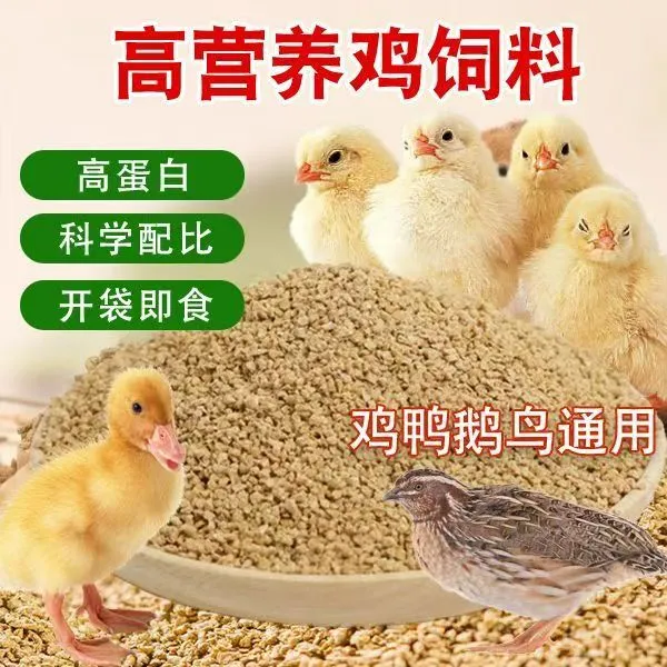 小鸡饲料中大肉蛋鸡鸭鹅颗粒料营养鹌鹑芦丁鸡鸟开口鱼饵料打窝