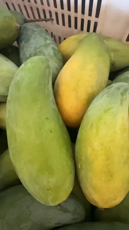金黄仿真果蔬                