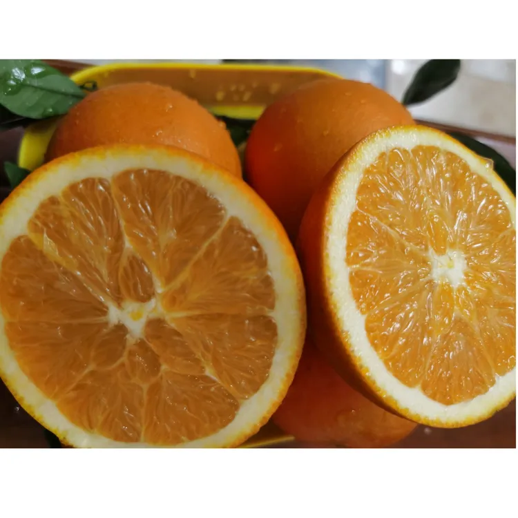 湖南溆浦纽荷尔脐橙新鲜现摘产地直发