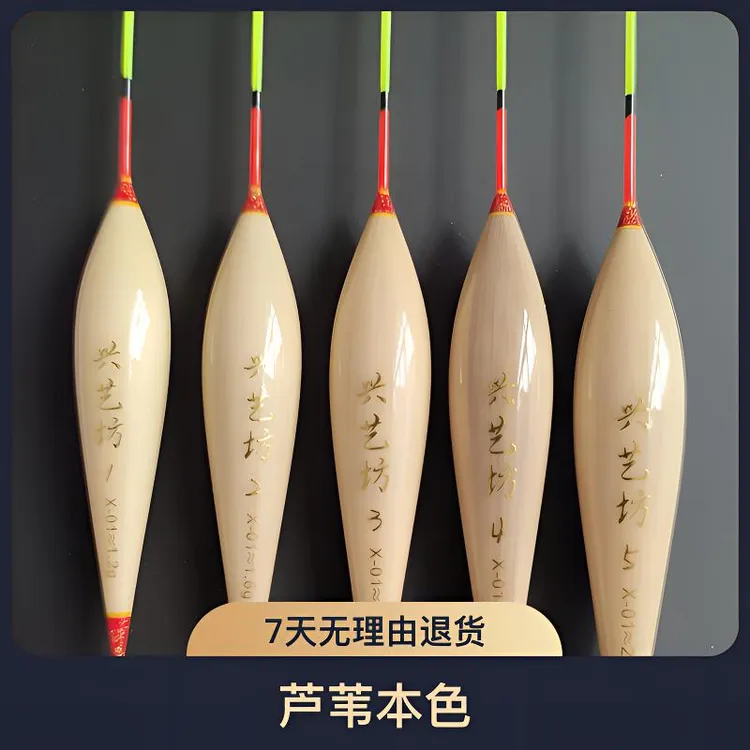 兴艺坊x-01芦苇本色黑坑前期  后期偷驴  鲫鱼，鲤鱼浮漂