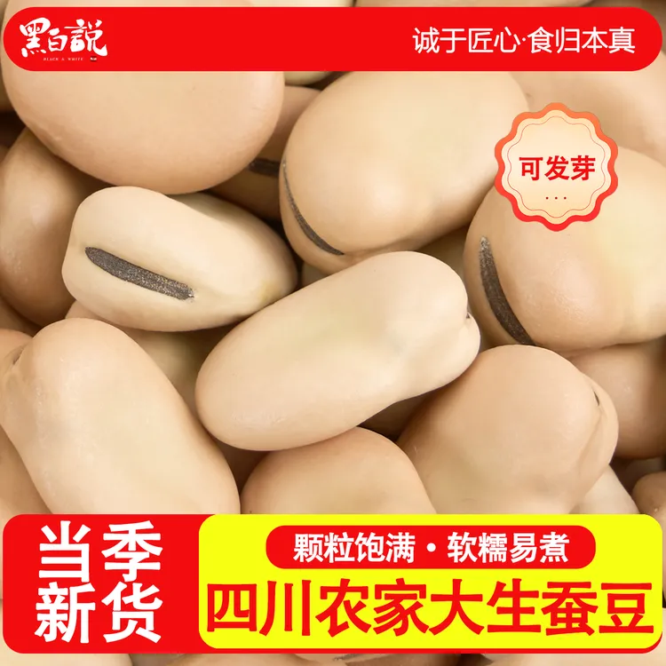 四川生蚕豆干货新鲜大粒批发生的干蚕豆干胡豆老蚕豆蚕豆正宗新货
