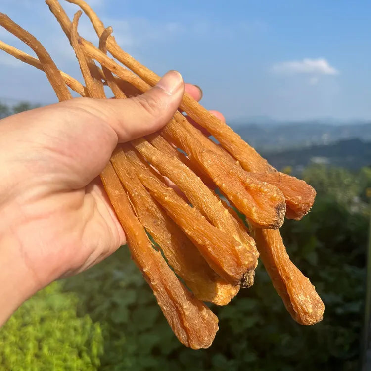 高海拔珍藏藏雪参 250g500g1000g 林隐先生专属 可搭配枸杞