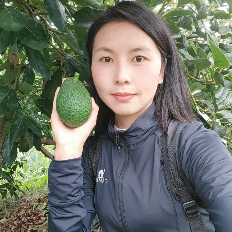 攀枝花哈斯牛油果