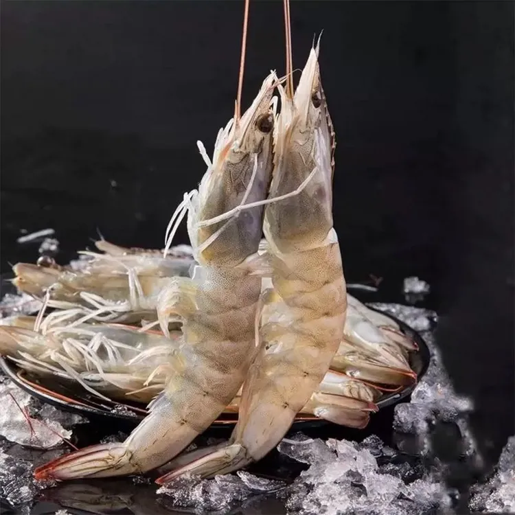 渤海湾盐田虾 3斤-5斤 鲜活速冻 鲜美饱满壳薄烧烤中秋家宴 顺丰