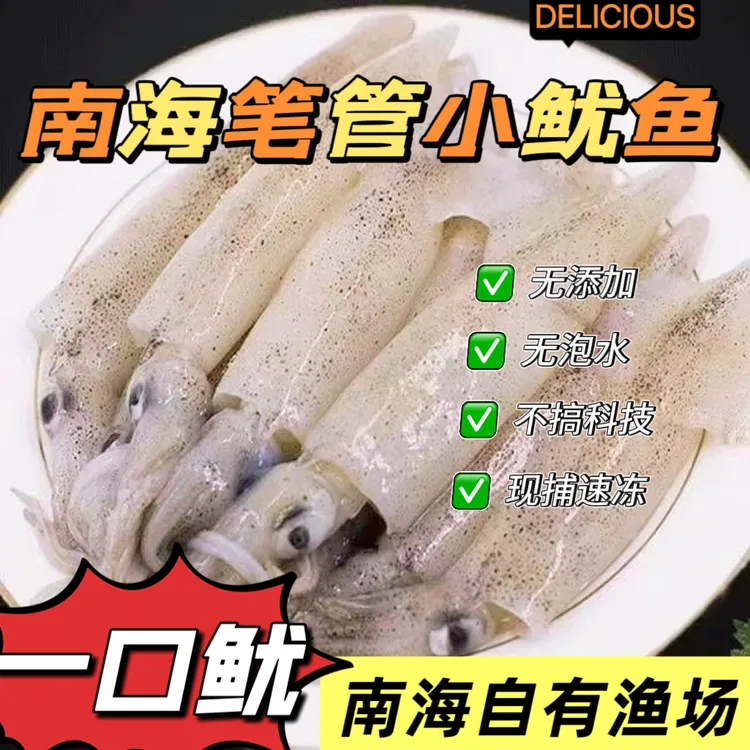 【南海笔管小鱿鱼海兔】海捕即食小鱿鱼小籽新鲜速冻冷冻水产鲜活