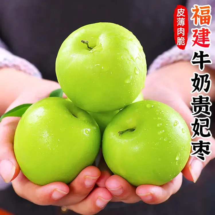 【清脆爽口】福建牛奶贵妃枣青枣蜜枣冬枣鲜枣香甜新鲜大水果苹果枣