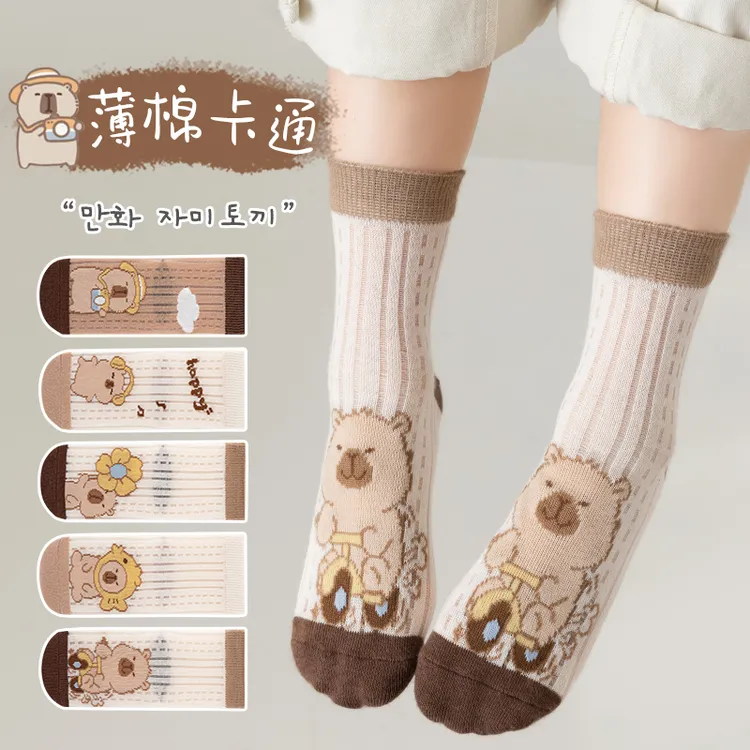 卡皮巴拉春夏儿童网眼袜子透气薄棉卡通男女童幼儿园不闷脚学生袜