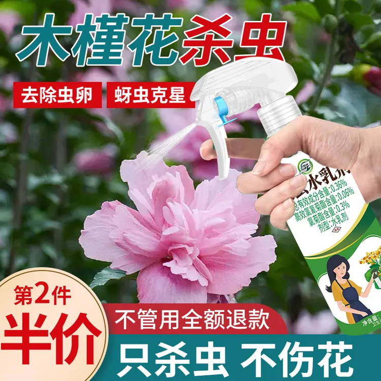 【木槿花】杀虫剂家用植物花卉免稀释喷雾绿植灭小飞虫卵双杀神器