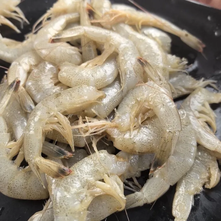 连云港产地直发新鲜去头羊毛虾净重3斤发货