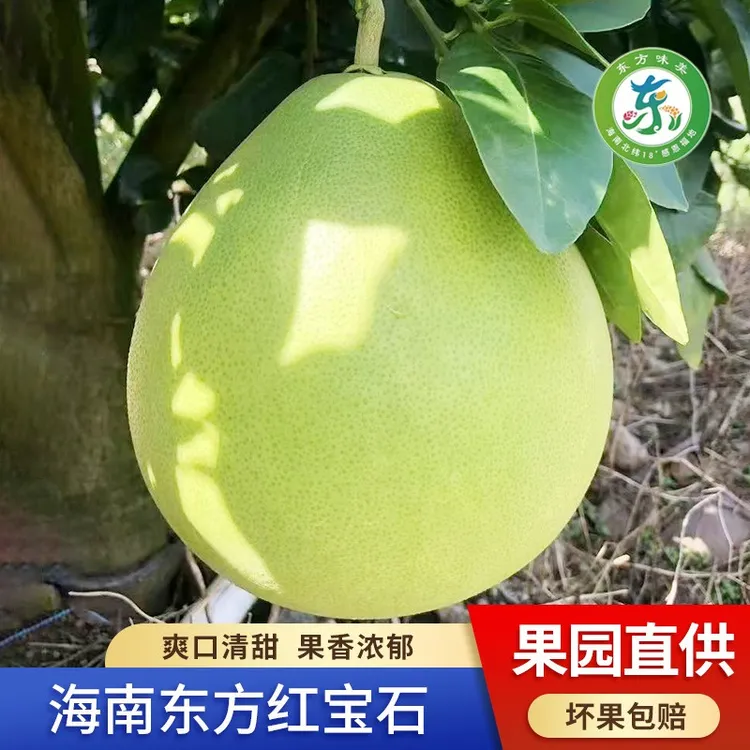 海南产地泰国红宝石青柚红心蜜柚低糖维C水果航空特快包邮