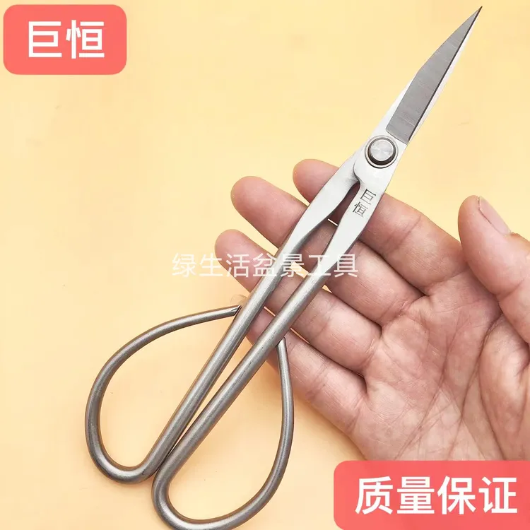 巨恒盆景专用工具叶芽剪不锈钢中号叶芽剪盆景修枝叶芽剪