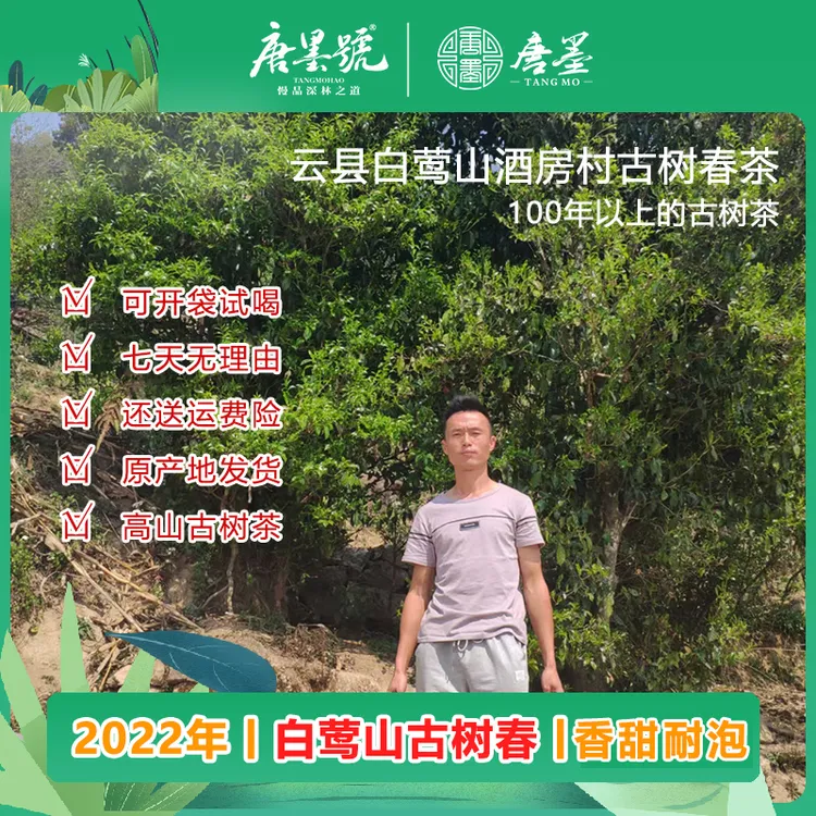 唐墨號 圈粉好茶  2022年  云县白莺山 古树春茶散茶 （支持试喝）