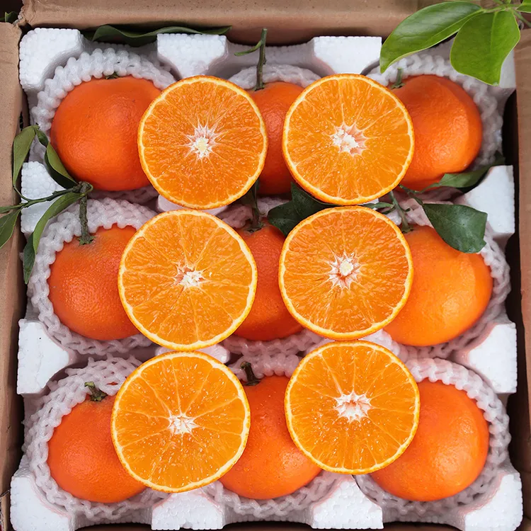 四川眉山爱媛38号果冻橙手剥甜橙子皮薄香甜新鲜水果