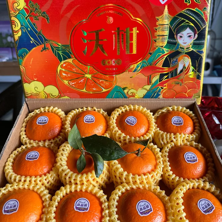 【礼盒装】9斤湖南沃柑新鲜采摘带枝叶发货