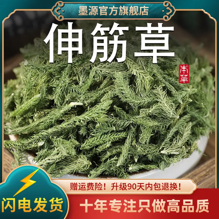伸筋草中药材舒筋草申筋草非野生生筋草非小伸筋草泡脚粉搭透骨草