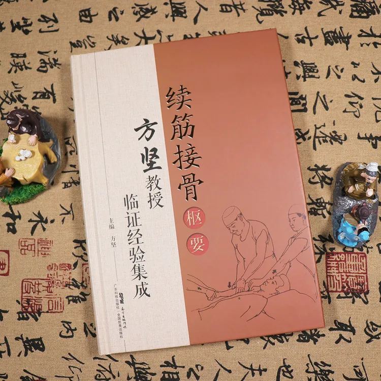 续筋接骨枢要 方坚教授临证经验集成 方坚 主编 临证经验总结 辨