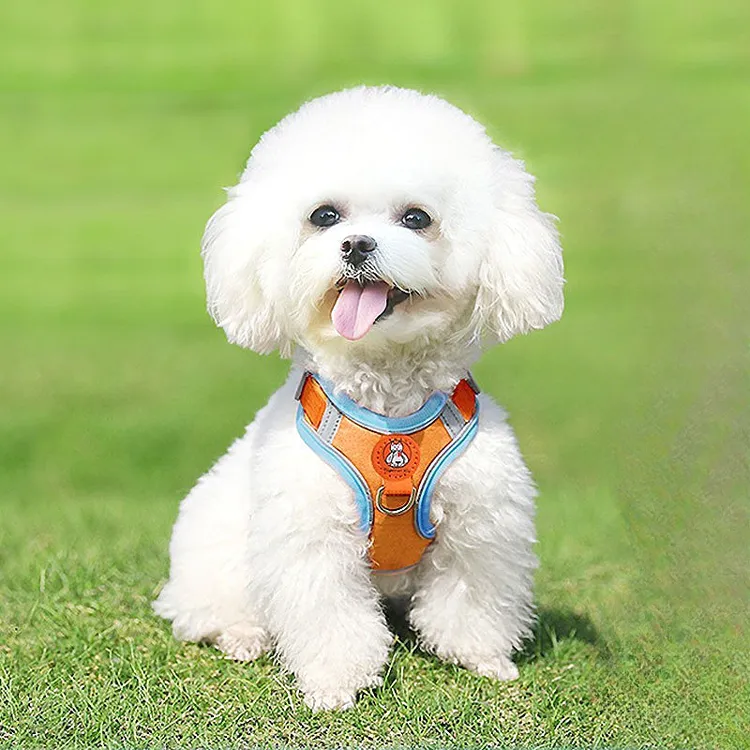 背心式狗狗牵引绳中型小型犬泰迪比熊博美胸背带幼犬遛狗绳狗链子