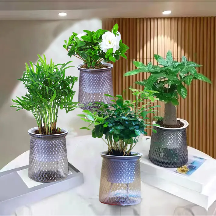 【花伴水】水培绿植四件套家居发财树栀子花富贵椰子九里香盆栽