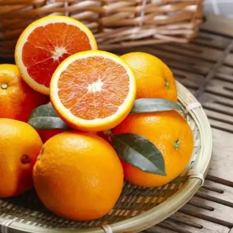 新鲜中华红橙当季现摘口感清香满口爆汁直发包邮
