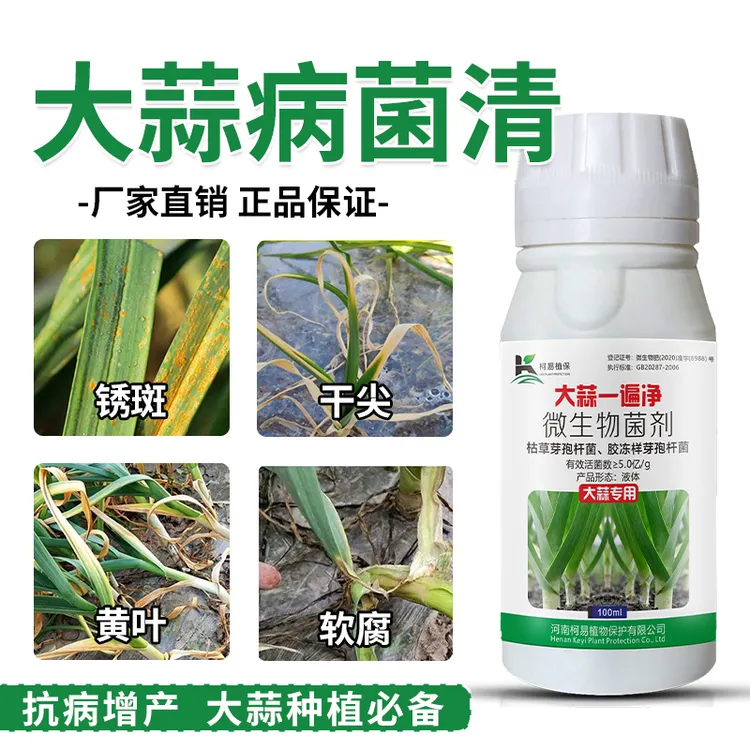 沃柯易大蒜一遍净专用大蒜干尖黄叶锈斑根腐配方升级微生物菌剂