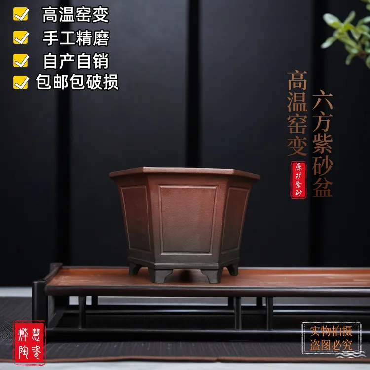 宜兴紫砂高温盆经典斗六方奎面盆兰花盆君子兰阳台室内桌面绿植盆