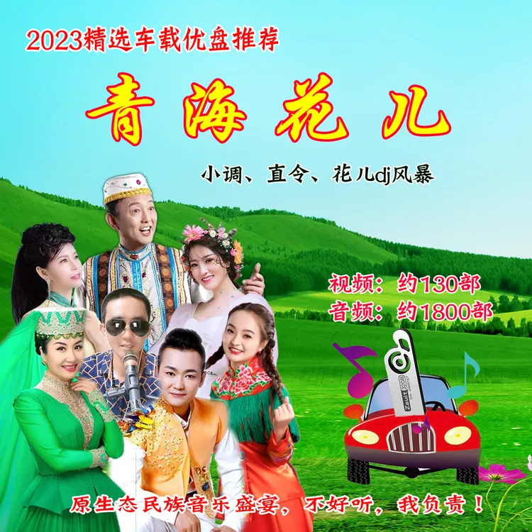 2024新青海花儿dj小调直令无损高音质流行网红MP3车载音乐优盘