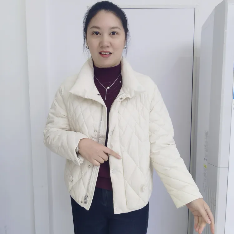 新款时尚洋气百搭立领短款羽绒服Z3612