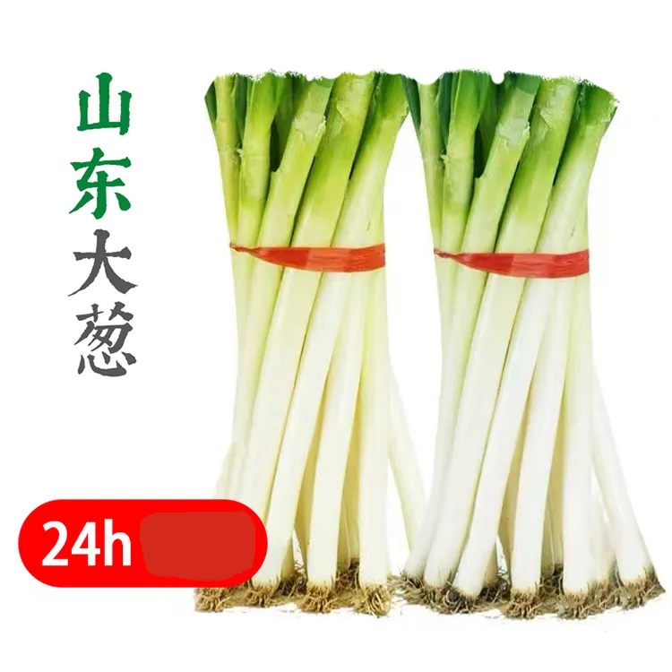 25年自家山东大葱现挖现发农家自种铁杆大葱产地只发生吃蘸酱