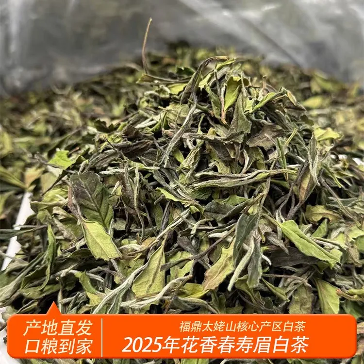 2025花香春寿眉【日晒寿眉】福鼎白茶 太姥山老枞寿眉原产地直发