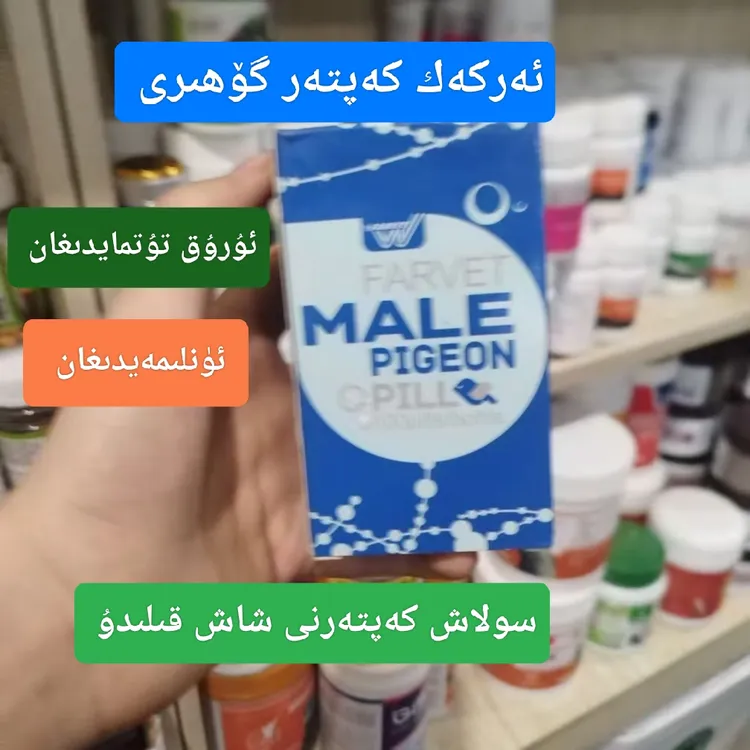 ALTunToga鸽子保健品 [XIONG GE BAO]