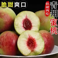 【顺丰快递】山东现摘青州蜜桃毛桃冬桃离核蜜桃甜脆甜多汁3/4.5斤