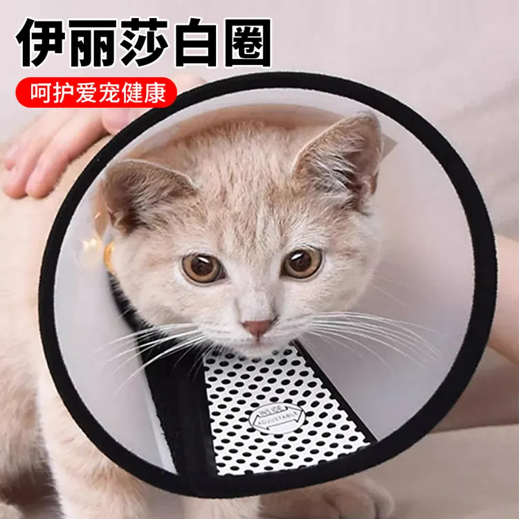 伊丽莎白圈术后护理宠物颈圈防舔耻辱圈猫狗通用可调大小防水柔韧