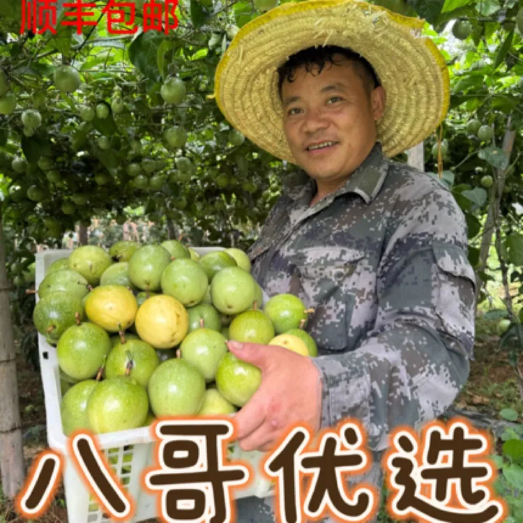 【正宗】贵州榕江村超钦蜜9号黄金百香果
