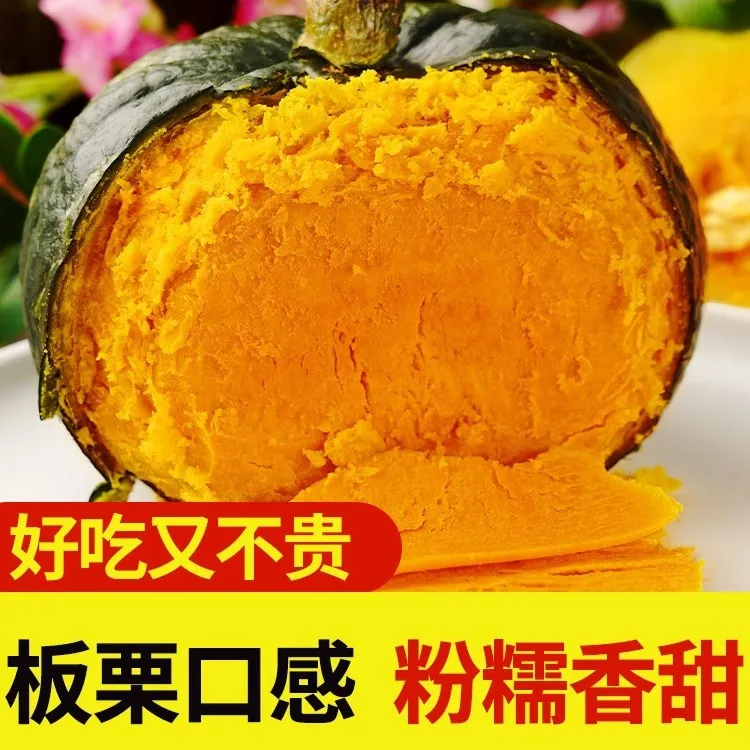沙地贝贝南瓜粉糯香甜适合宝宝辅食