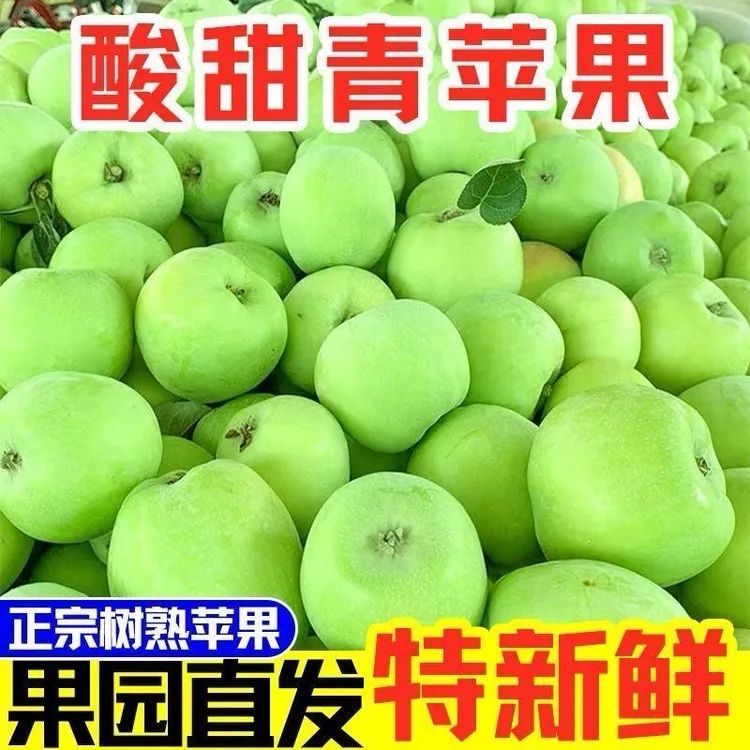 头茬现摘新鲜青苹果当季应季水果酸甜脆爽多汁正宗