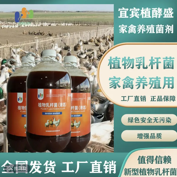 植物乳杆菌养殖鸡鸭鹅通用