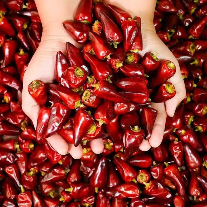 贵州子弹头干辣椒中辣特香炒菜火锅辣卤炖必备