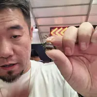 手串星月菩提配饰